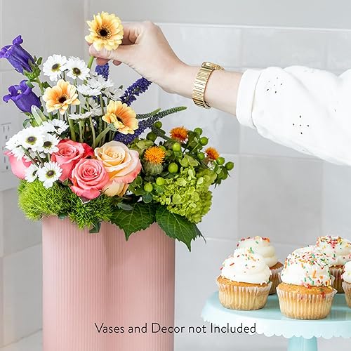 Miniatura 6 de Floral Compass by Nature's Flowers - Ramo de flores de celebración - Elegible para Prime, más de 30 flores recién cortadas para entrega, sin jarrón