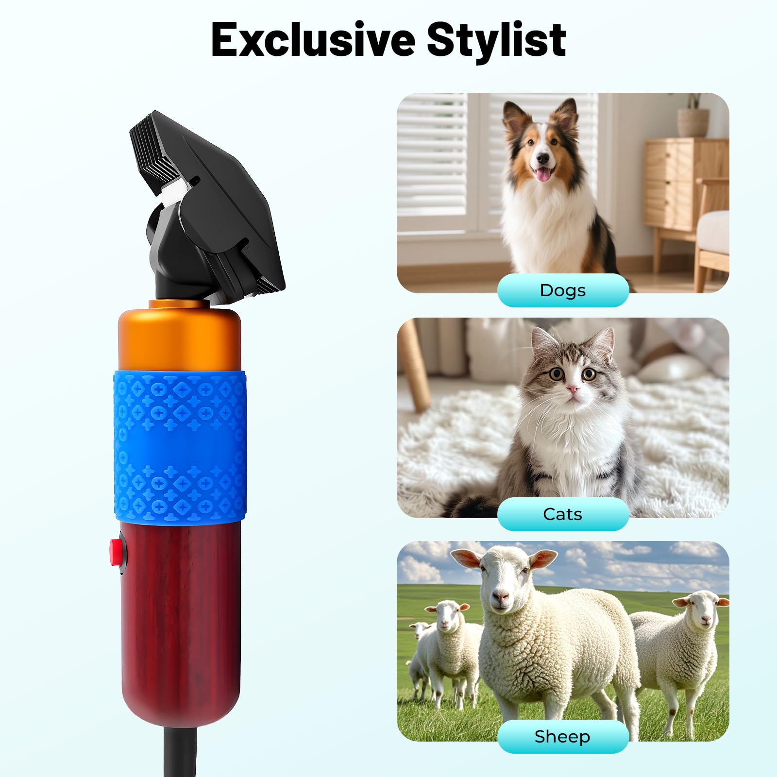 Tosatrice professionale per cani, 200 W, con cavo da 3 m, silenziosa, 60 dB, per cani e gatti, forbici elettriche per pecore con regolatore di velocità, 1000-6600 giri/min, per barboncini, cavalli
