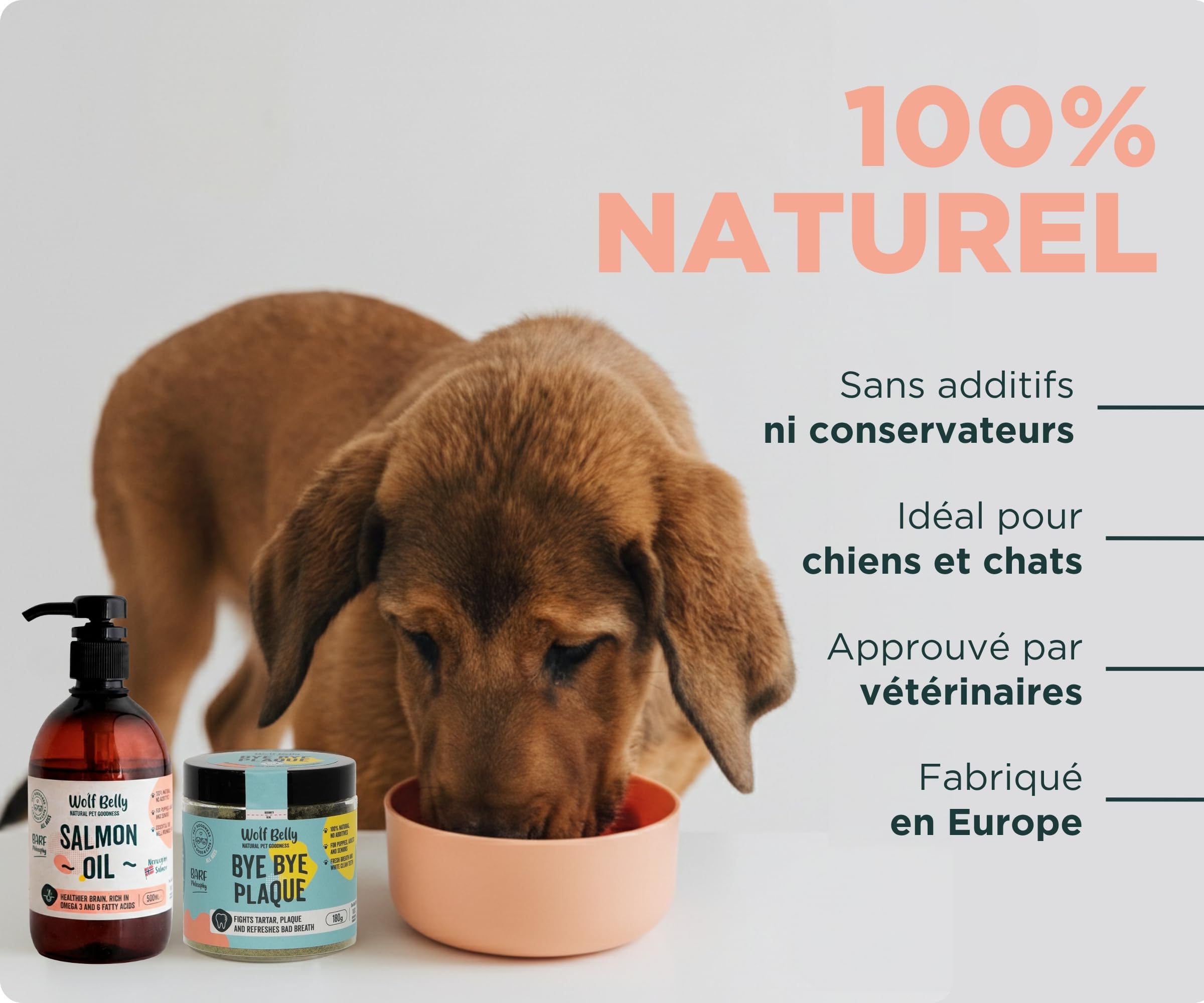 Wolf Belly - Pack Huile de Saumon (500 ML) et Santé Bucco-Dentaire (180 g) 100% Naturel | Oméga 3 et 6 + Hygiène Dentaire | pour Chiens et Chats - Fabriqué en UE