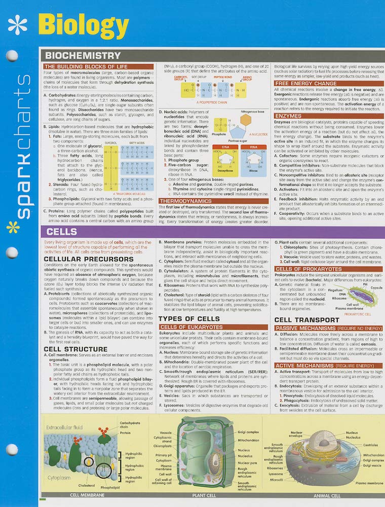 Biology SparkCharts (SparkCharts, 6)