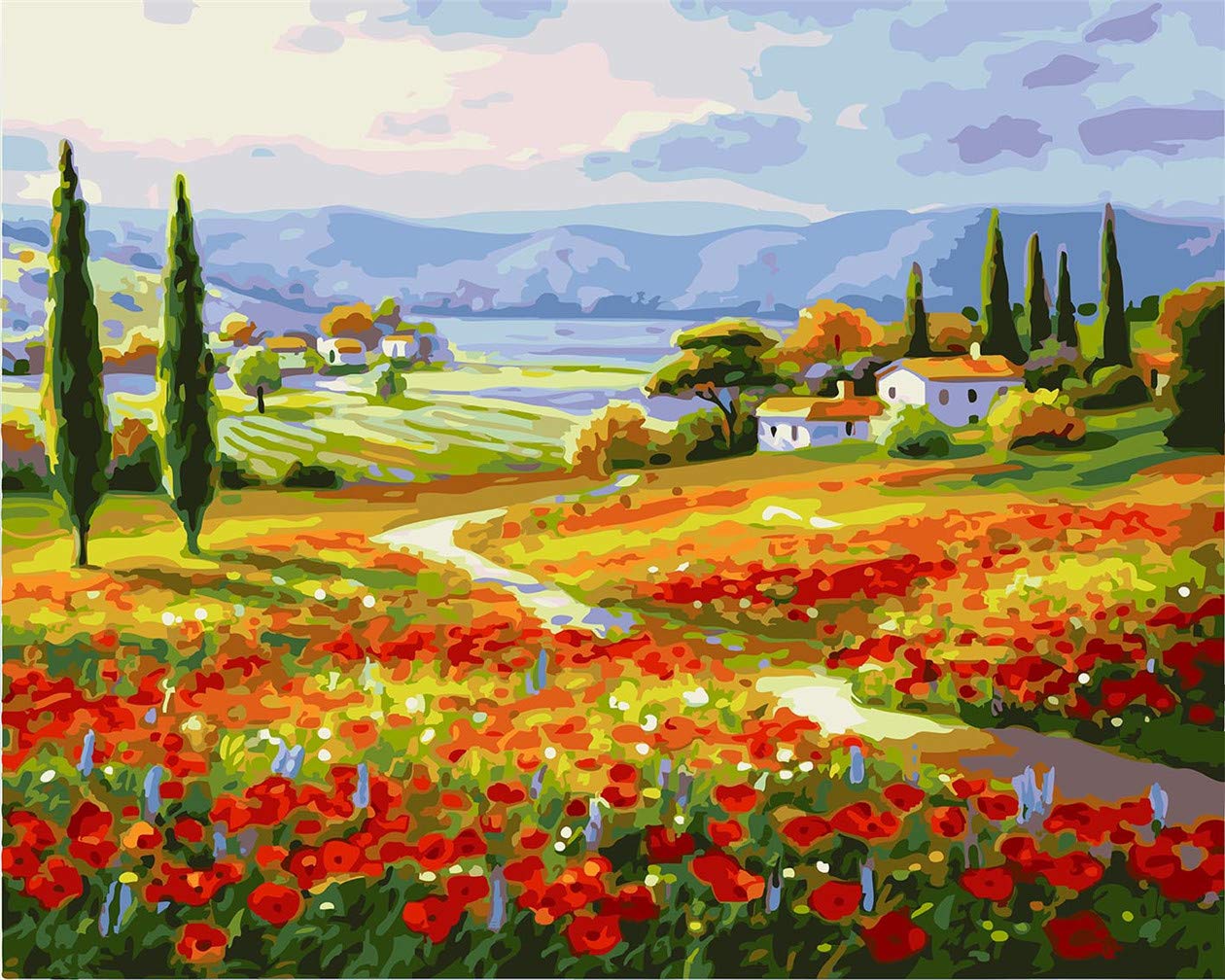 Awesocrafts Paint by Numbers Kits, Red Poppy Fields Number Painting for Adults and Kids 16x20 inch (Poppy, No Frame)