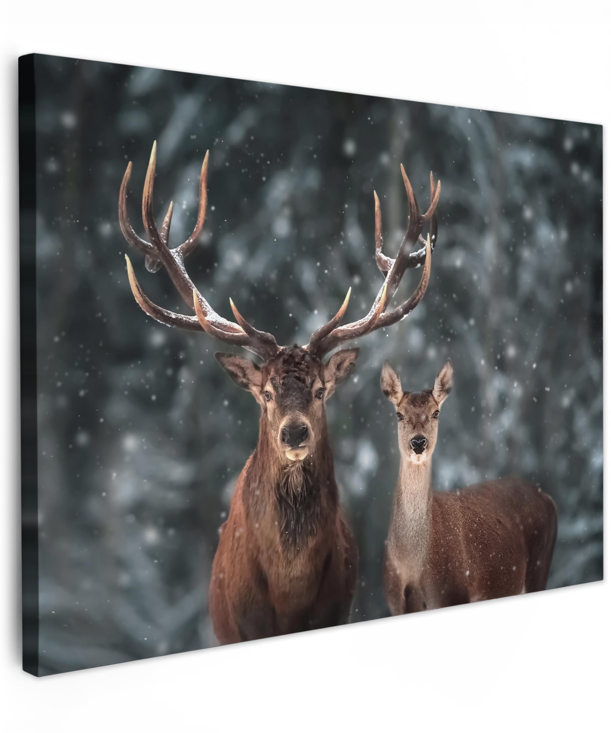 MuchoWow© Canvas Wall Art 31"x24" / 80x60 cm Decor Prints for Living Room Decorative Canvases Hall Artwork Deer - Animals - Winter - Antlers - Snow - Nature — image 1