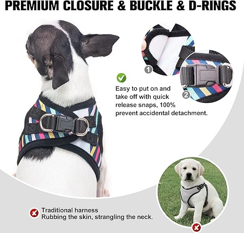 Miniatura 4 de BEAUTYZOO Conjunto de arnés y correa para perro pequeño, transpirable, reflectante, chaleco para perros pequeños y medianos