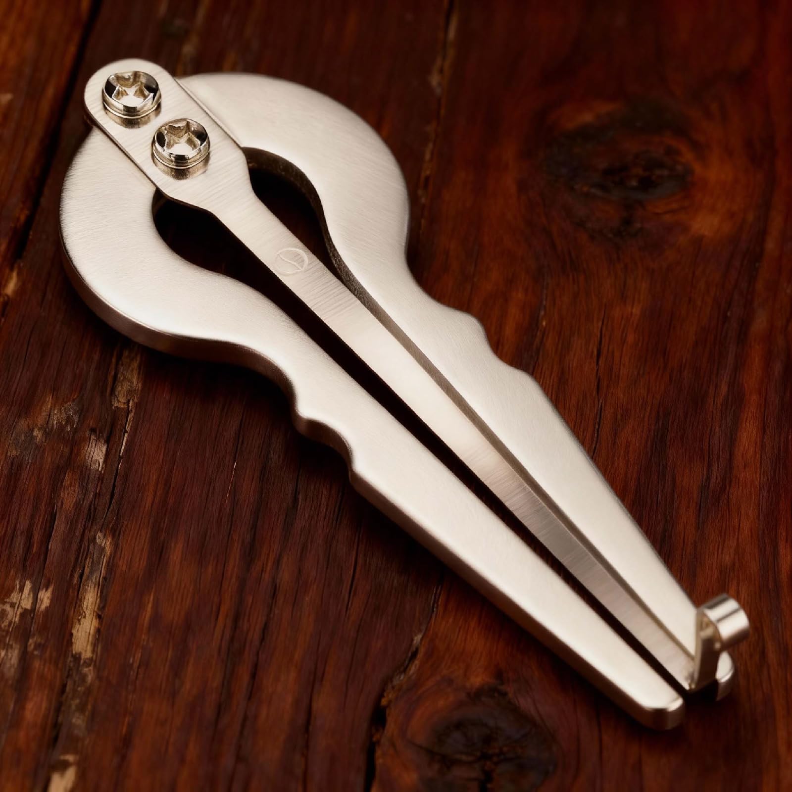 Maultrommel aus Edelstahl mit Ahornblatt-Holzetui – Handgefertigte Jaw Harp, Tragbares Mundharfen-Instrument für Anfänger, Musiker & Folkmusik-Liebhaber