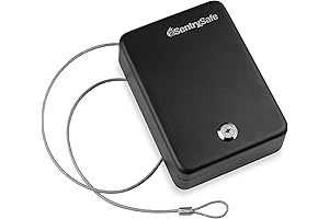 SentrySafe P005K Mini Safe Lock Box with Key