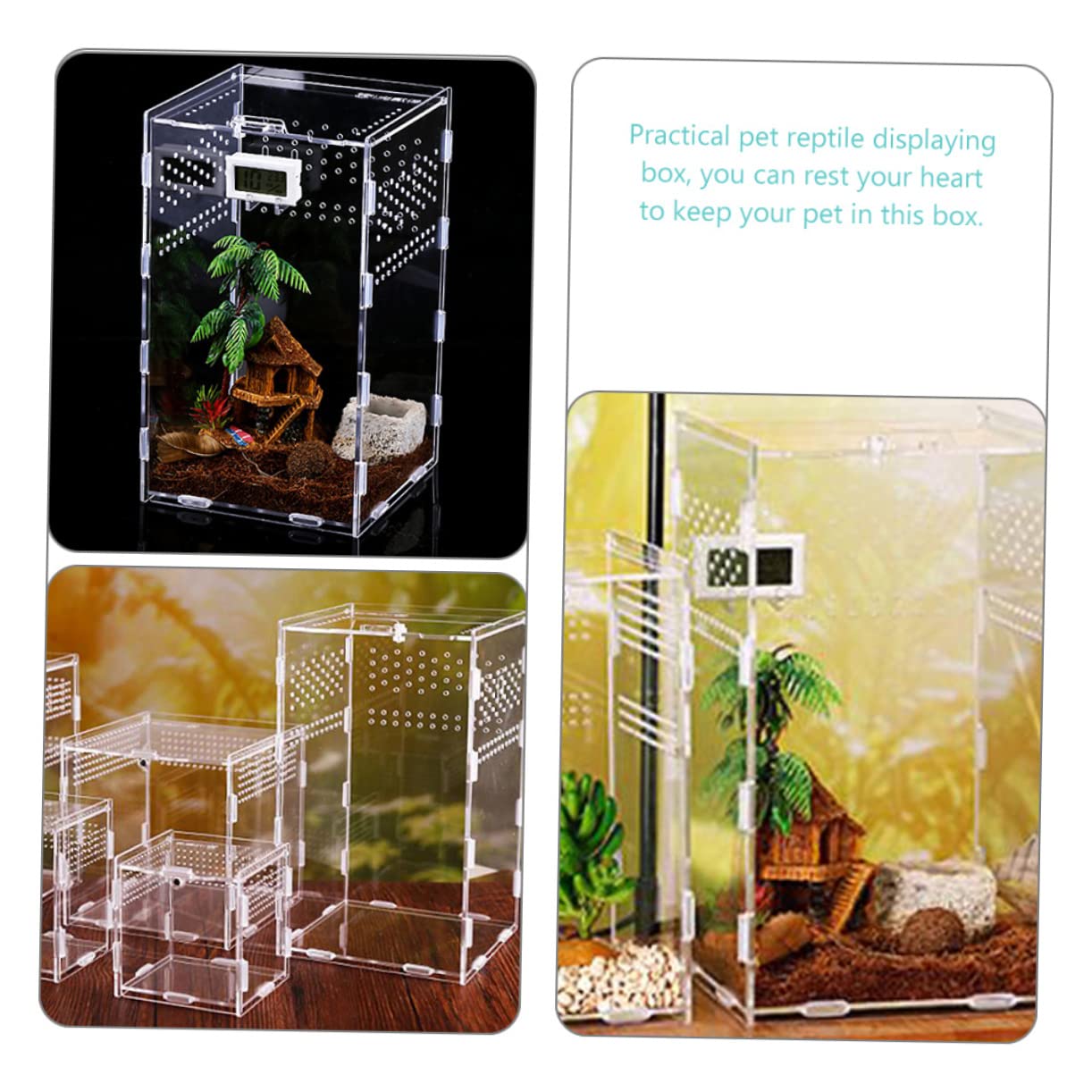 DOITOOL Kit Terrario per Rettili Nido per Rettili Contenitori Creativi Accessori per Terrari Trasportino per