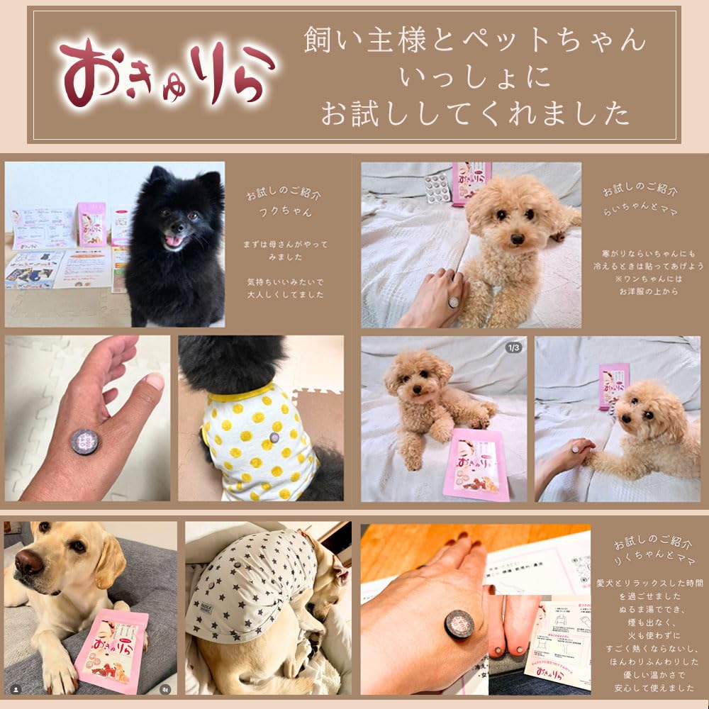 Amazon.co.jp: ペットと楽しむお灸 おきゅりら ペット 犬猫 ストレス