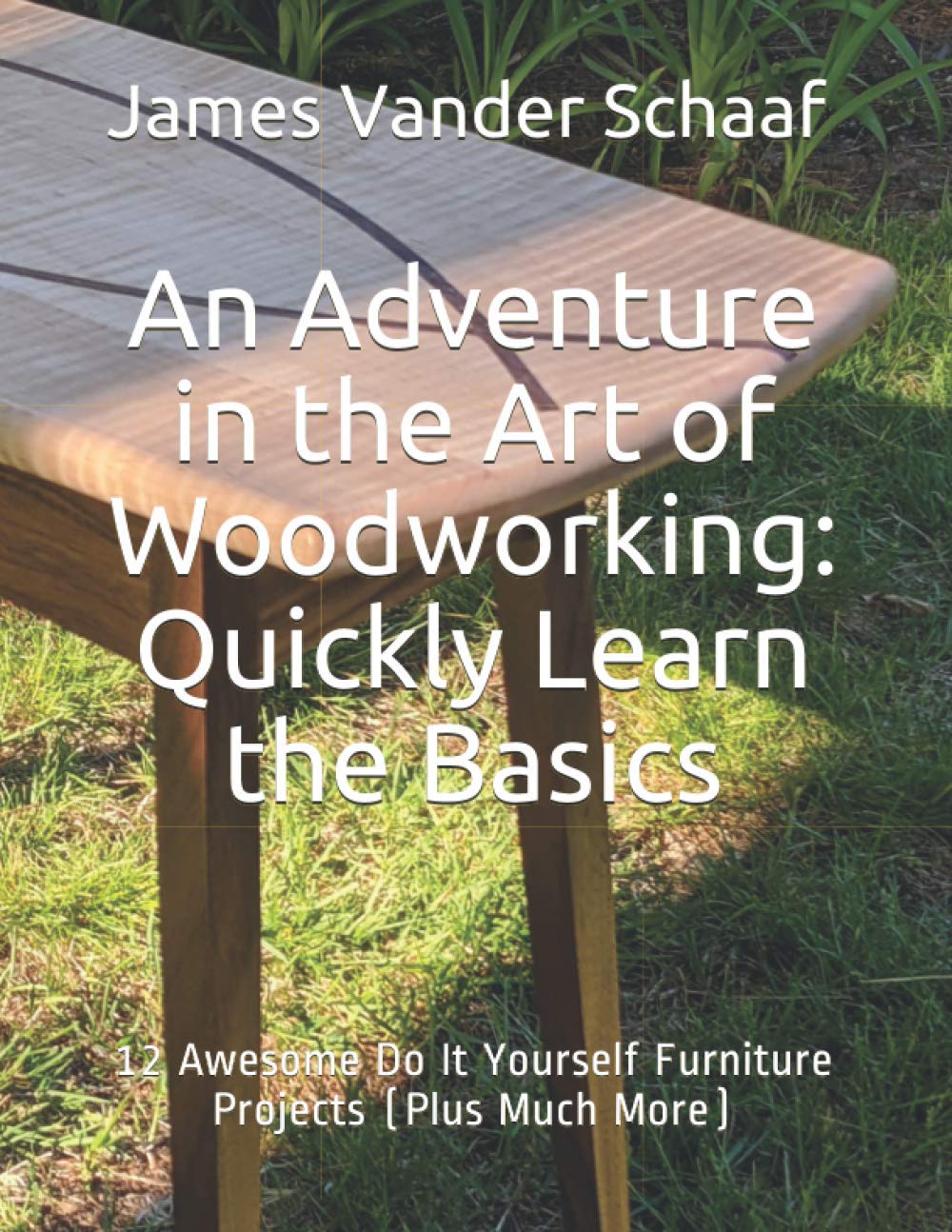 An Adventure in the Art of Woodworking: Quickly Learn the Basics      Paperback – April 19, 2018