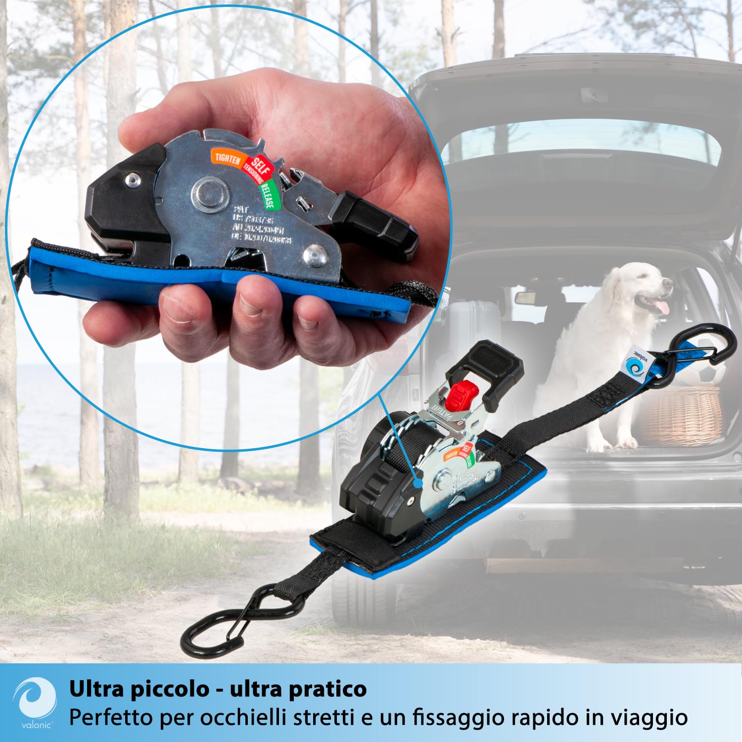 valonic FOX 2 m, mini cinghie a cricchetto, per fissaggio in furgone, set da 2, 150 kg forza di serraggio, 19 mm, cricchetto gommato