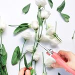 Housolution Pousses florales en acier de qualité supérieure Paille de taille Fruits de fleur Ciseaux de feuille Outil de coupe à la main pour le jardinage des fleurs, rose