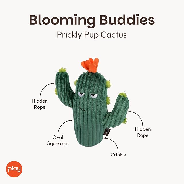 Foto 2 de 7 de P.L.A.Y. Play Blooming Buddies Collection - Juguete para Perro con Cactus