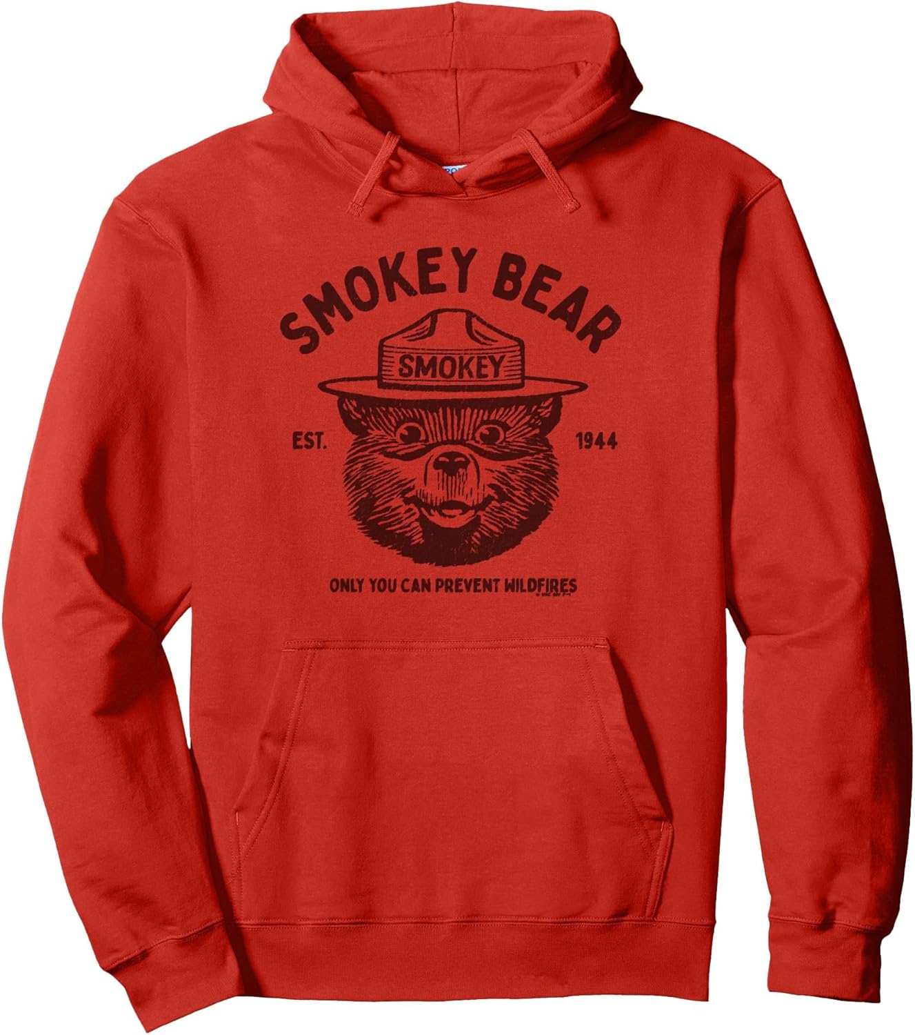 Officially Licensed Vintage Smokey Bear Distressed Logo Pullover Hoodie