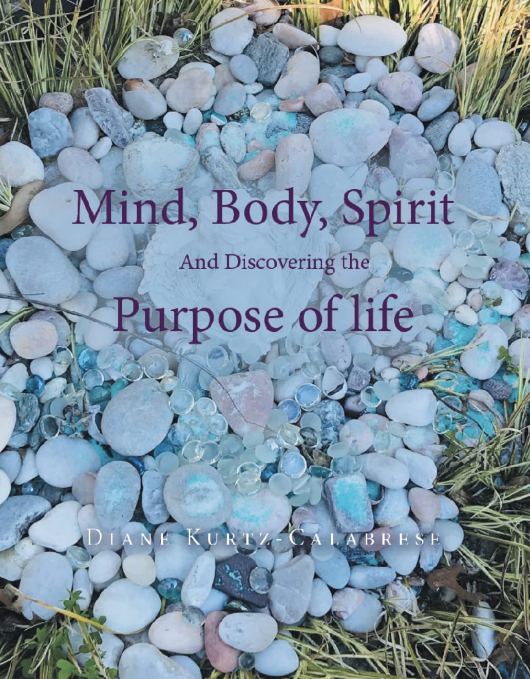 Mind, Body, Spirit and Discovering the Purpose of Life      Kindle Edition
