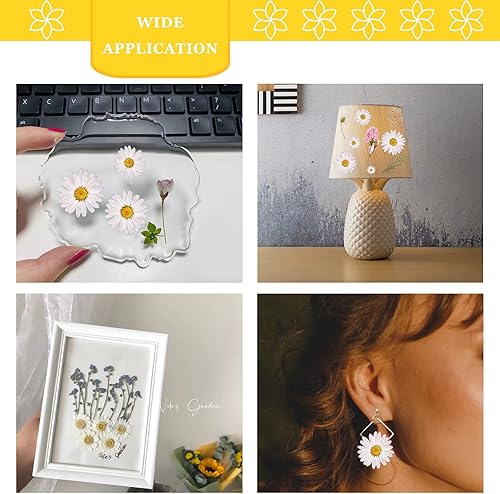 Miniatura 4 de Flores secas de margarita blanca para adornos de manualidades, 60 flores naturales prensadas para joyería de resina, decoración de caja de teléfono,