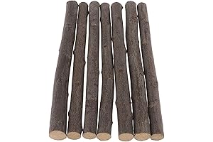 7Pcs Driftwood Branches for Decoration Real Plants for Crafts and Home Decor