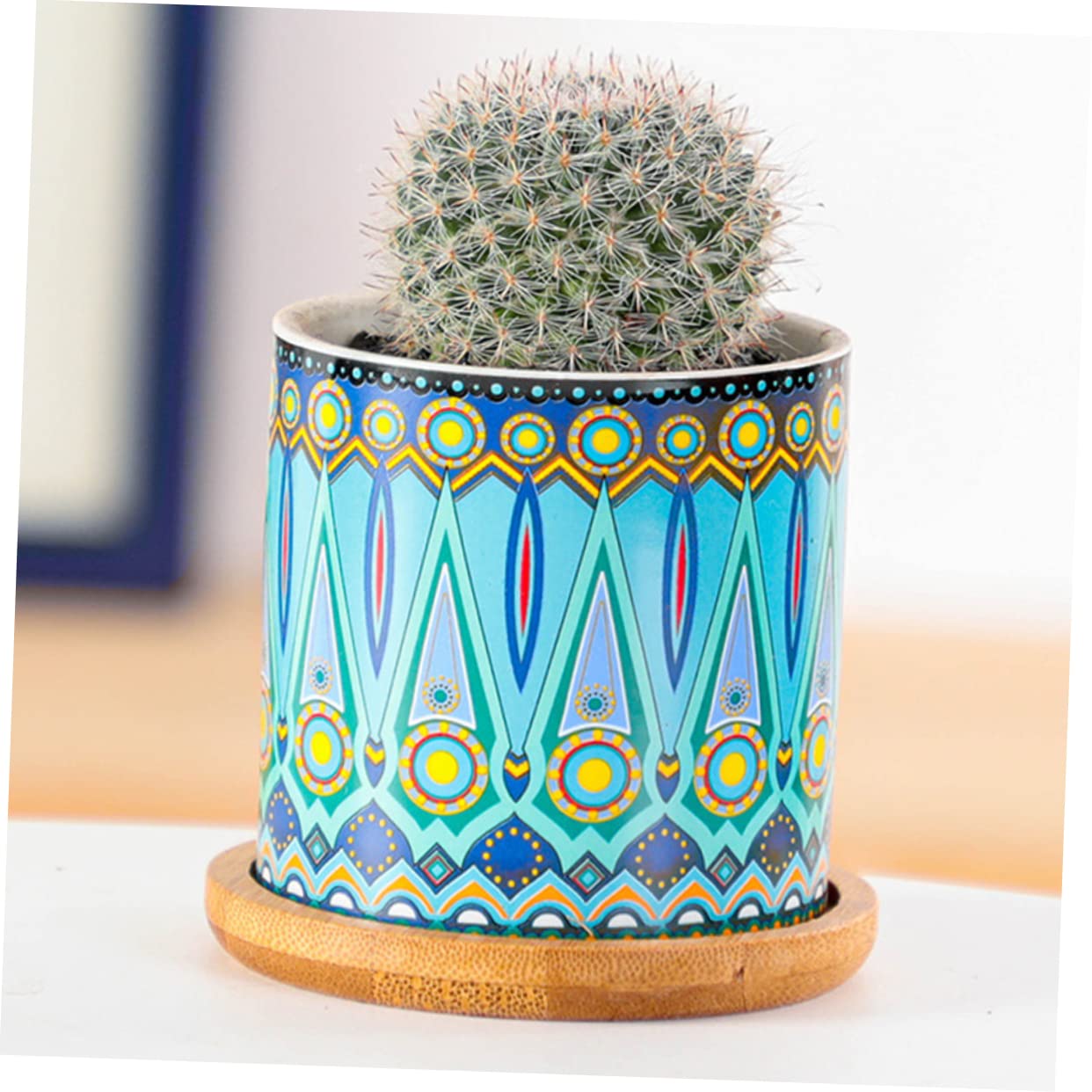 Yardwe Set 8 Pezzi Vasi Succulenti Cilindrici in Ceramica Motivo Mandala, Mini Vaso di Fiori per Piante Grasse, Ornamento per Casa e Ufficio 4 Supporti in Bambù Colorati
