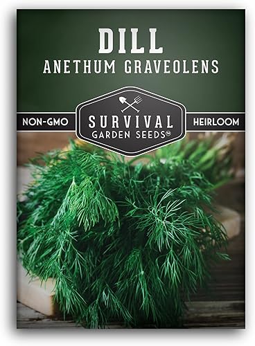 Survival Garden Seeds - Semillas de eneldo para plantar - Paquete con instrucciones para plantar y cultivar hierbas en decapado populares en tu