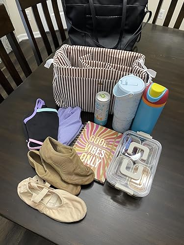 Great Tote for a Busy Mom!