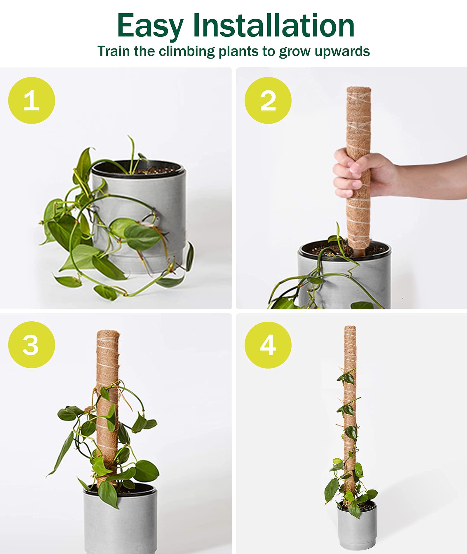 Poteaux En Fibre De Coco 3 X 100 Cm - Dixie Store - Supports Idéaux