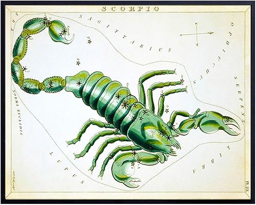 Vintage Scorpio Astrological Zodiac Chart - Great Gift and Chic Home Decor - Stars - Ready to Frame (8x10) Photo