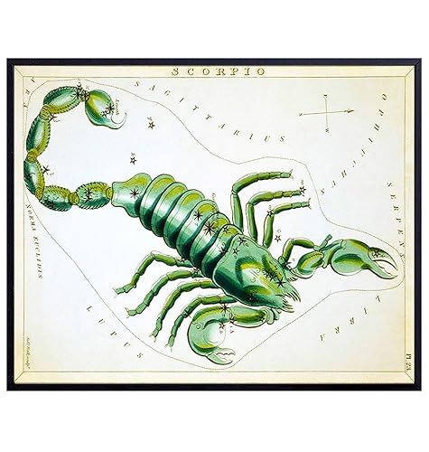 Vintage Scorpio Astrological Zodiac Chart - Great Gift and Chic Home Decor - Stars - Ready to Frame (8x10) Photo