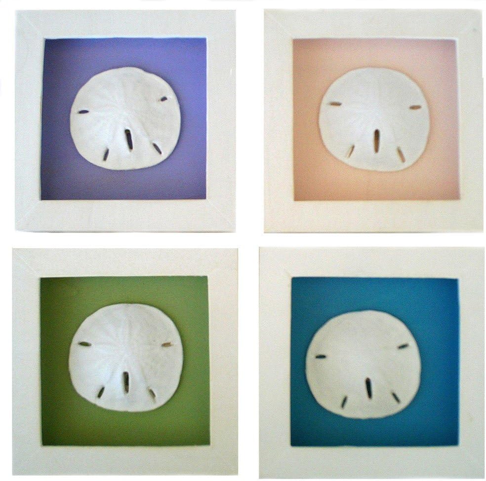 Beachcombers Set of 4 Sand Dollar Shadow Boxes with Multi Colored Backgrounds