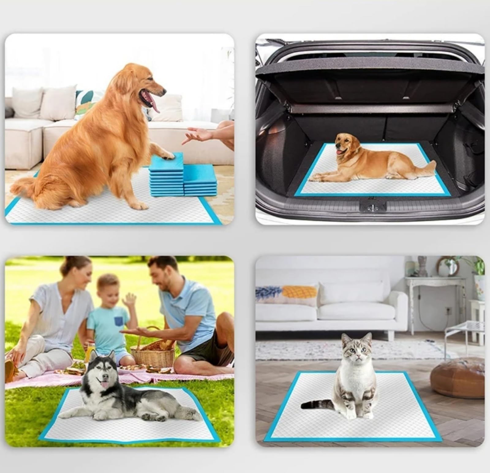 Super Mundo - 120 Empapadores Perros, 60cm x 90cm, Alfombrilla higiénica para Perros para Mascotas, Absorbentes(60 x 90cm, 120pcs)