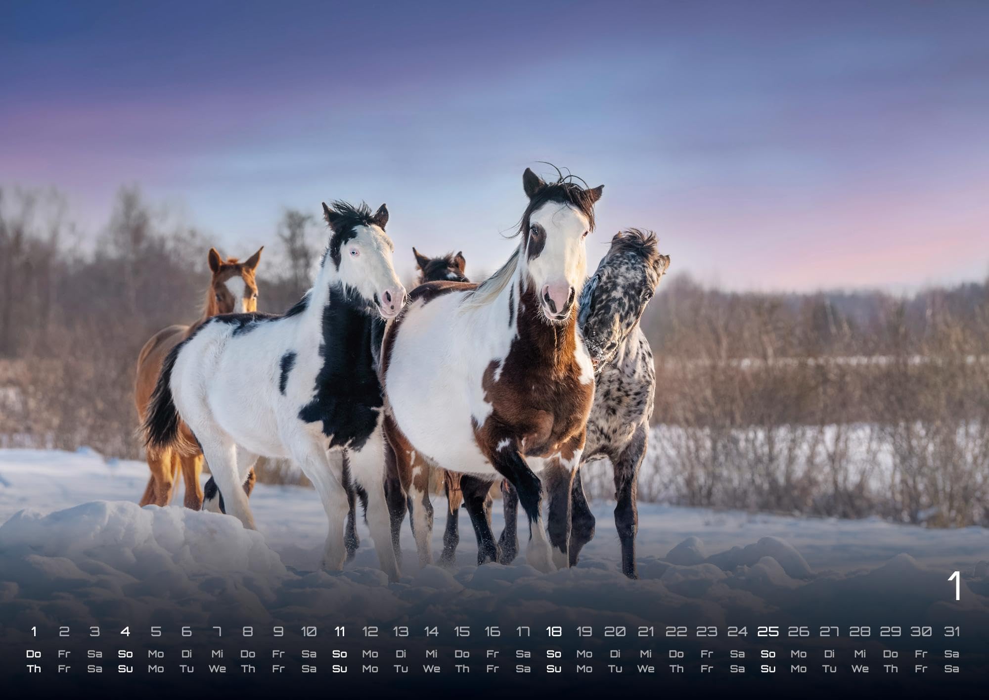 Pferdegeflüster - Der Pferdekalender - 2026 - Kalender DIN A2: Der Wandkalender mit den schönsten Pferde-Motiven für das Jahr 2026 im extragroßen Format DIN A2 (ca. 60 x 42 cm)!