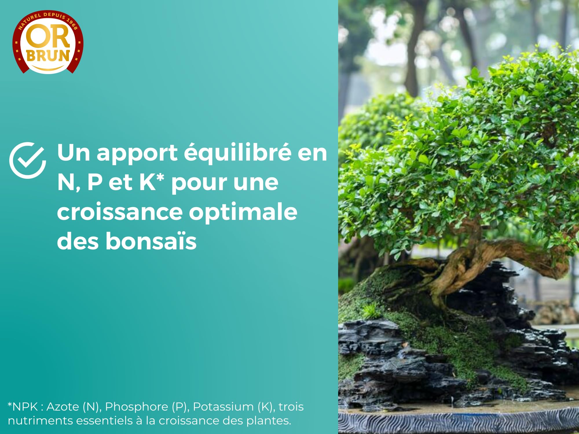 Engrais Bonsaïs 250ml OBRECLBONSAI250 Fabriqué En France Agriculture Biologique