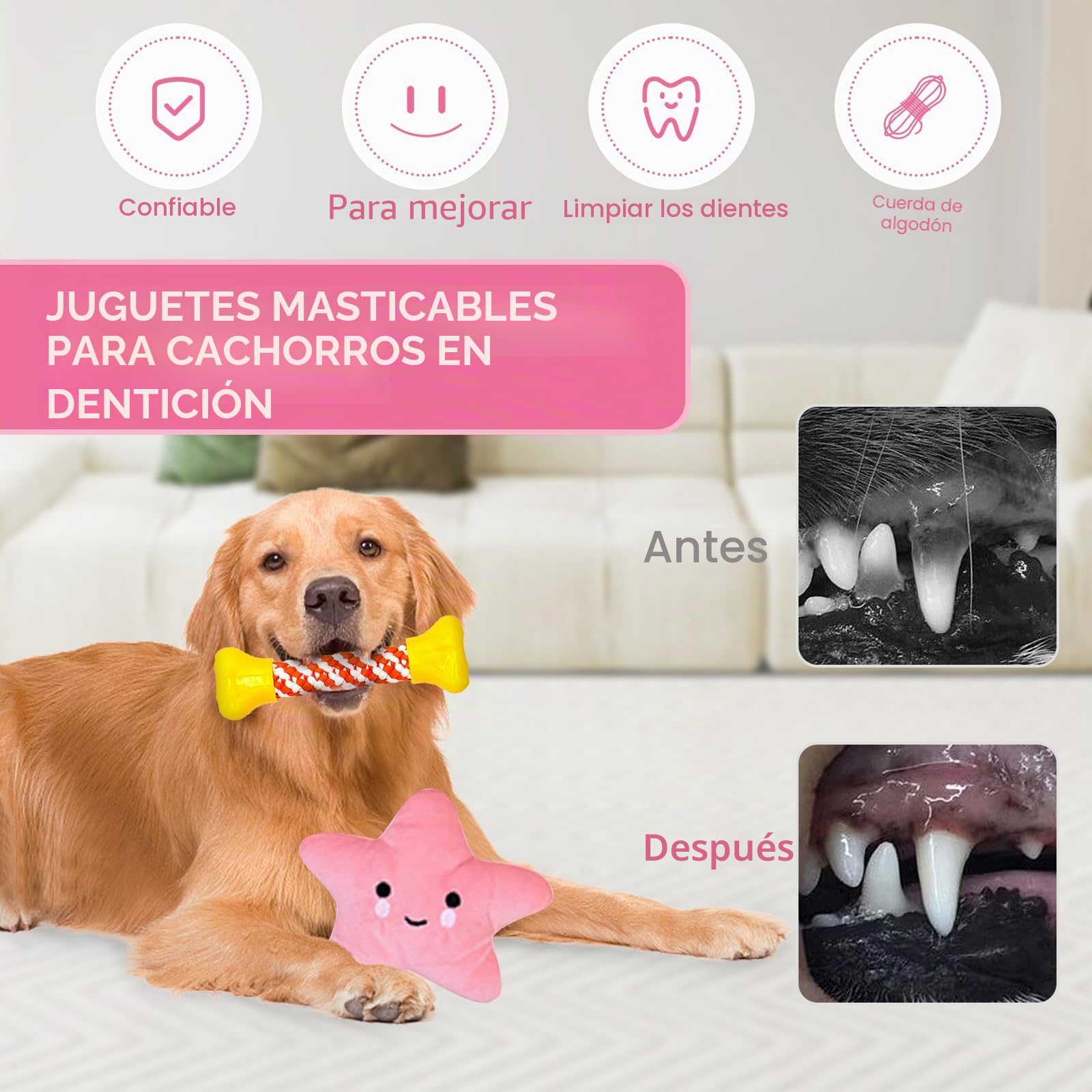 Juguetes para Perros,20 Piezas Juguete para Morder para Perro,Juego de Juguetes para Perros,Juguetes Interactivos para Limpiar Los Dientes Adecuado para Pequeño y Mediano