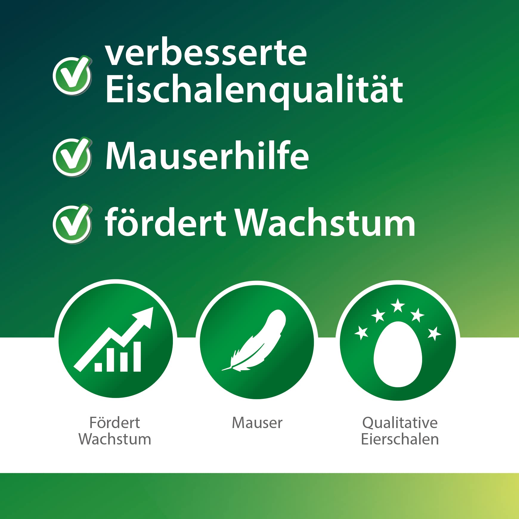 Röhnfried Hennengold 5000 ml I vermindert Brucheier & Federfressen I unterstützt Federwachstum & Federkleid I für Hühner & anderes Geflügel