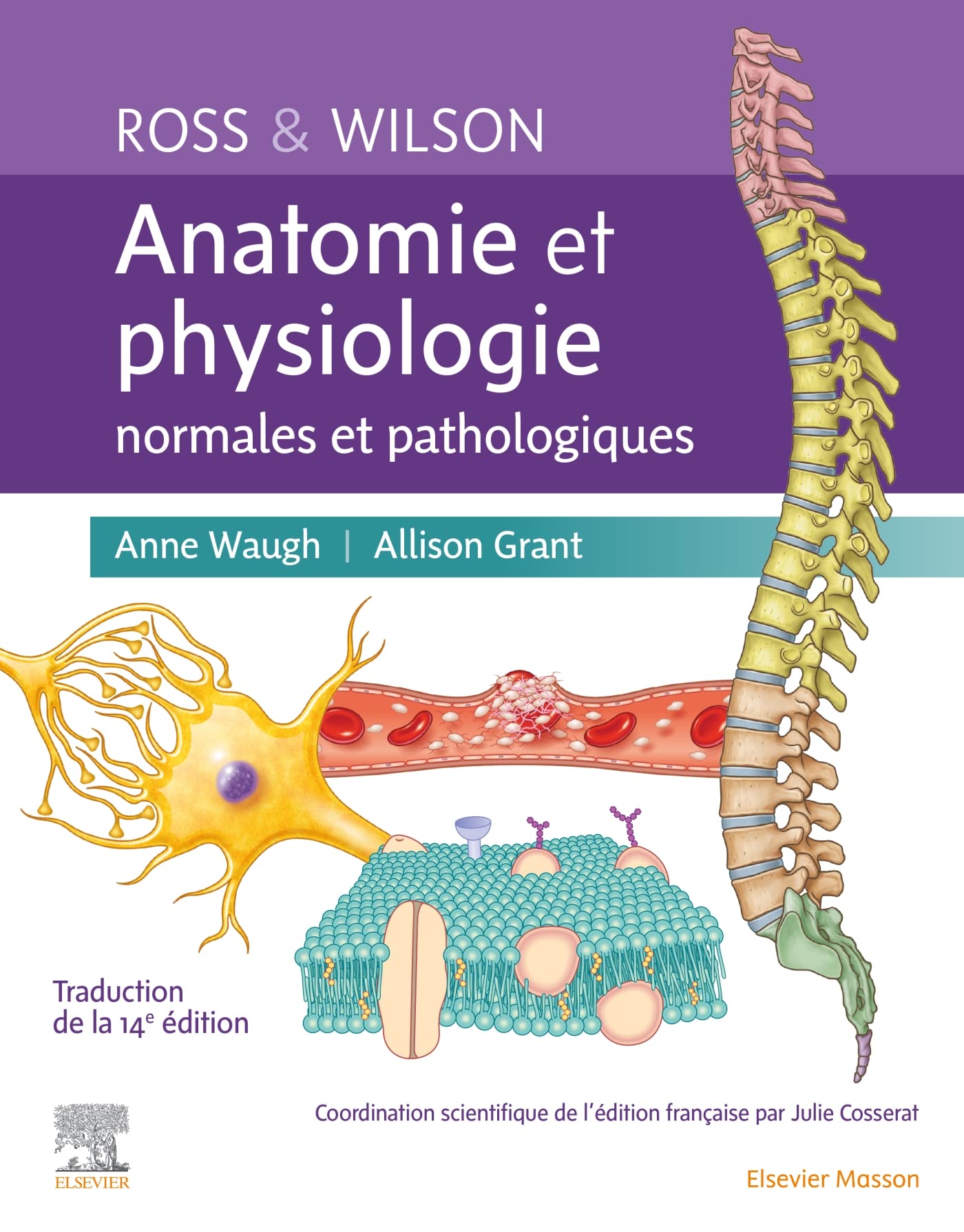 Ross et Wilson. Anatomie et physiologie normales et pathologiques