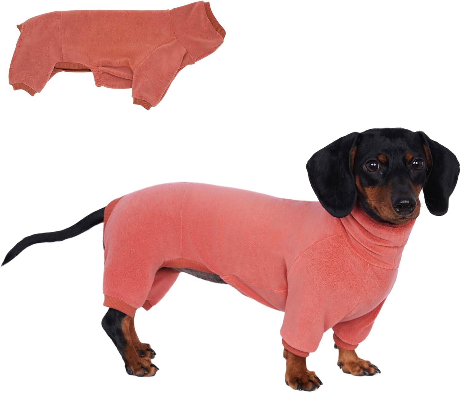 Dachshund Dog Turtleneck Warm Sweater, Winter Clothes, Suitable for Dachshunds (Green, X-Small)