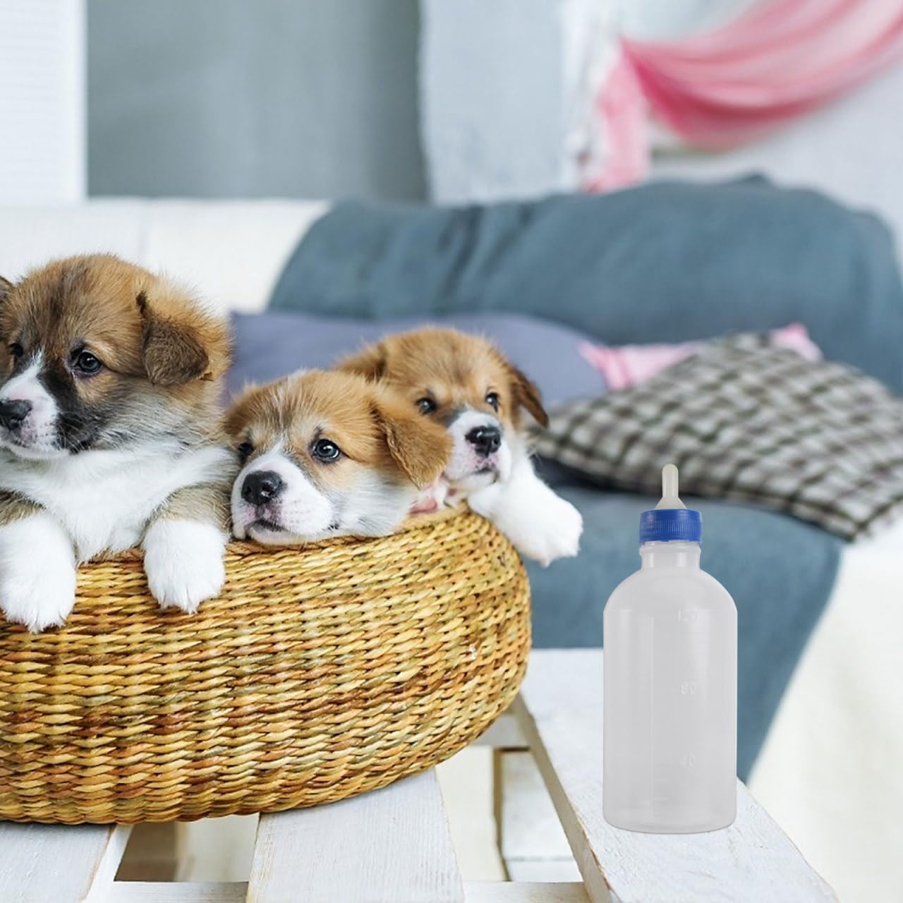 POPETPOP 4Oz Pet Feeding Bottle Lightweight Portable Nursing Bottle for Puppies and Kittens with Leak-Proof Design for Medicine and Milk Feeding