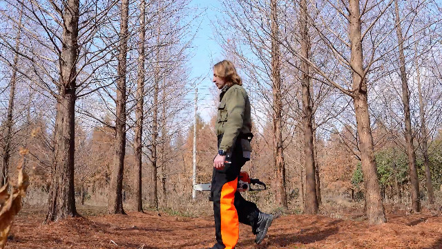 Kettensägen-Schutzhose Klasse A – Technische Version Mit 8-lagigem Schnittschutz, Größen M/L