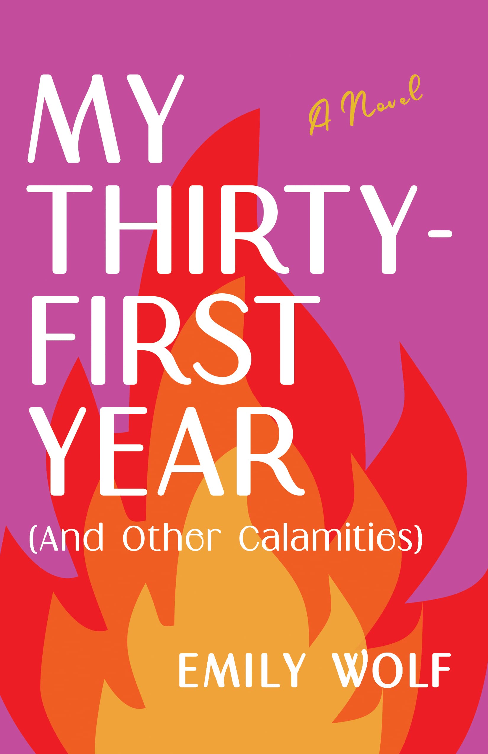Buy My Thirty-First Year (and Other Calamities) — BookShops.in