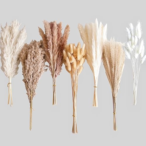 Miniatura 4 de 125 PCS Dried Pampas Grass Bouquet, Boho Table Decor, Bunny Tails Dried Flowers, Brown Pampas, White Pampas Grass for Weddings, Home Decor, Rustic