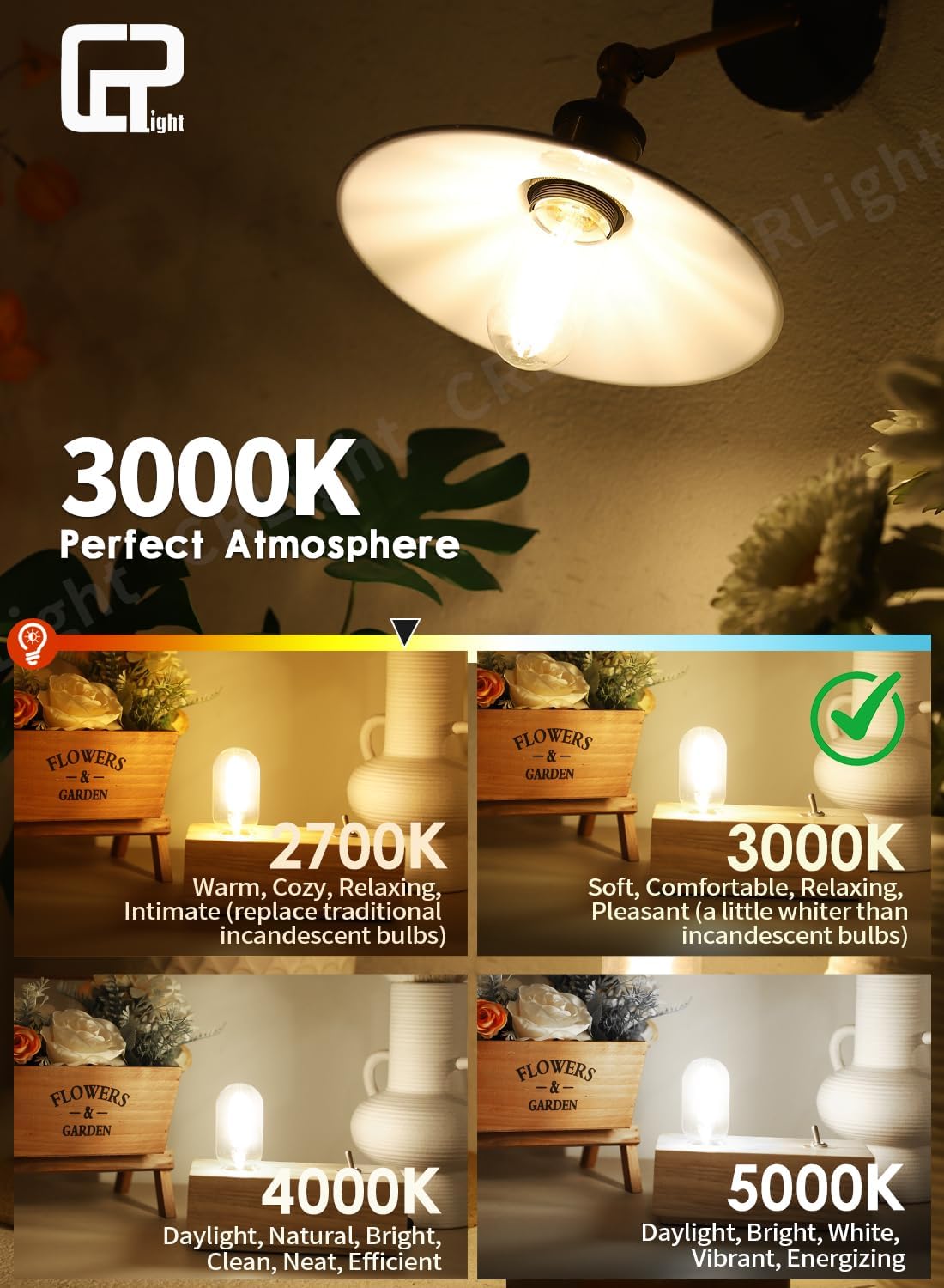 CRLight 8W LED Tubular Bulb 3000K Soft White, 80W Equivalent 800 LM, E26 Antique Edison T14 / T45 Tubular Clear Glass Dimmable LED Filament Light Bulbs, Pack of 6