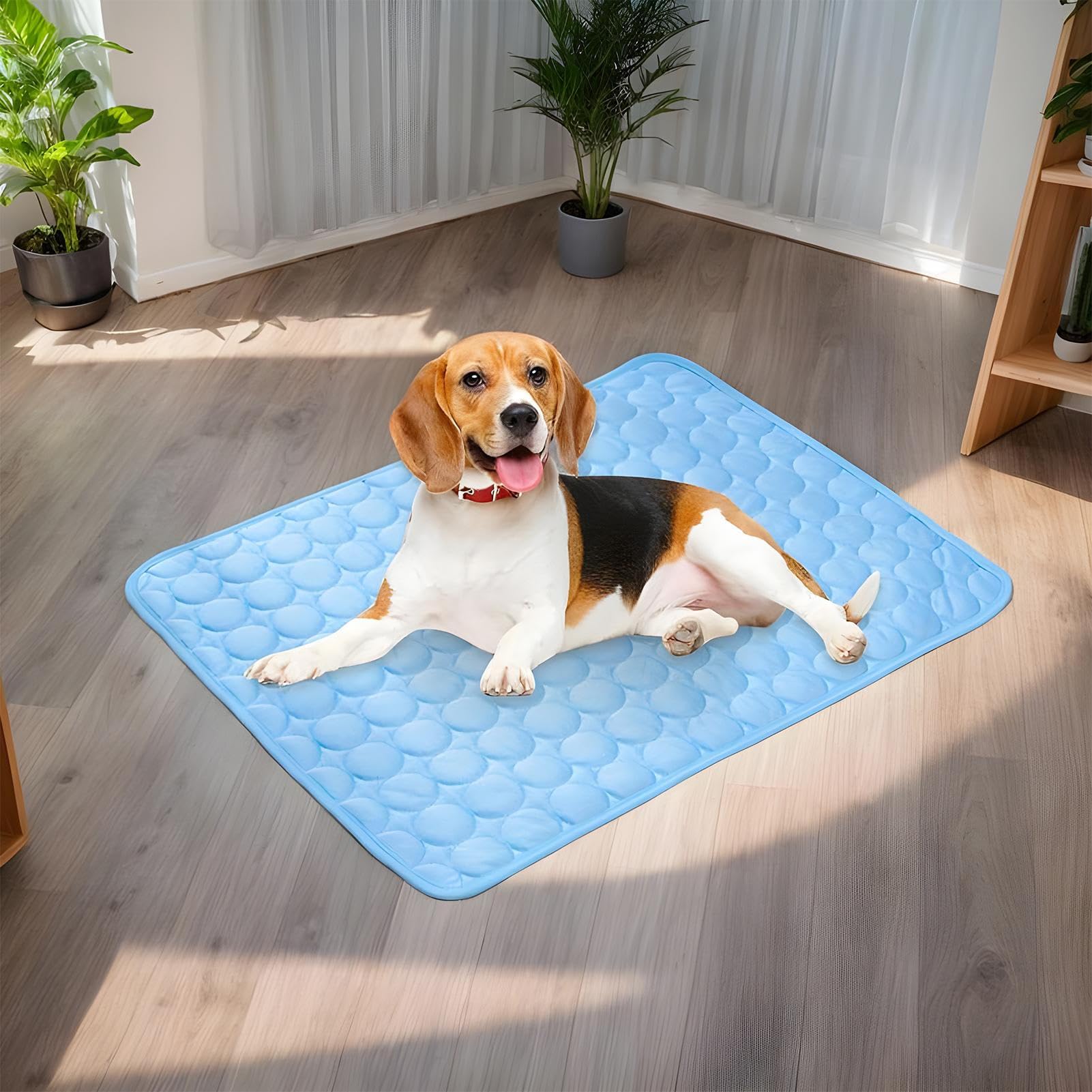 Tappetino Refrigerante Rinfrescante Per Cane Gatto Animali, 30*40cm Seta Di Ghiaccio Tappetino Refrigerante Per Cani, Adatto A Gabbie, Dissipazione Del Calore, Portatile, Cucce E Letti Per Cani