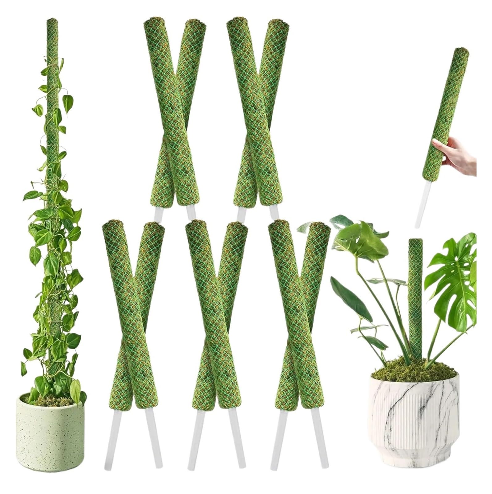 Tuteur Plante Poteau de Mousse empilable Vert 10 pièces for Plantes grimpantes, piquets de Support Extensibles for Plantes d'intérieur