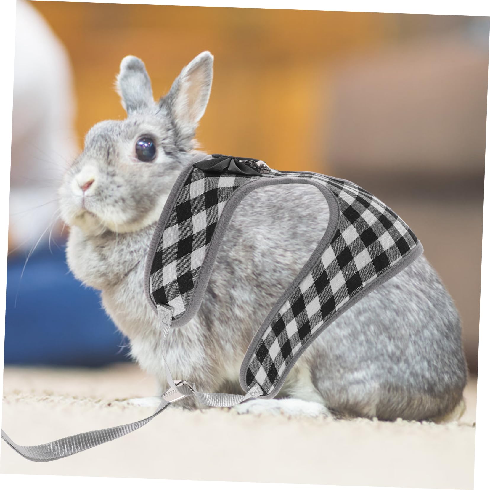 BESPORTBLE 5sätze Kleintiere Einstellbares Kaninchengeschirr Mit Leine Süßes Bunny Kostüm Für Haustiere Für Und Fotos