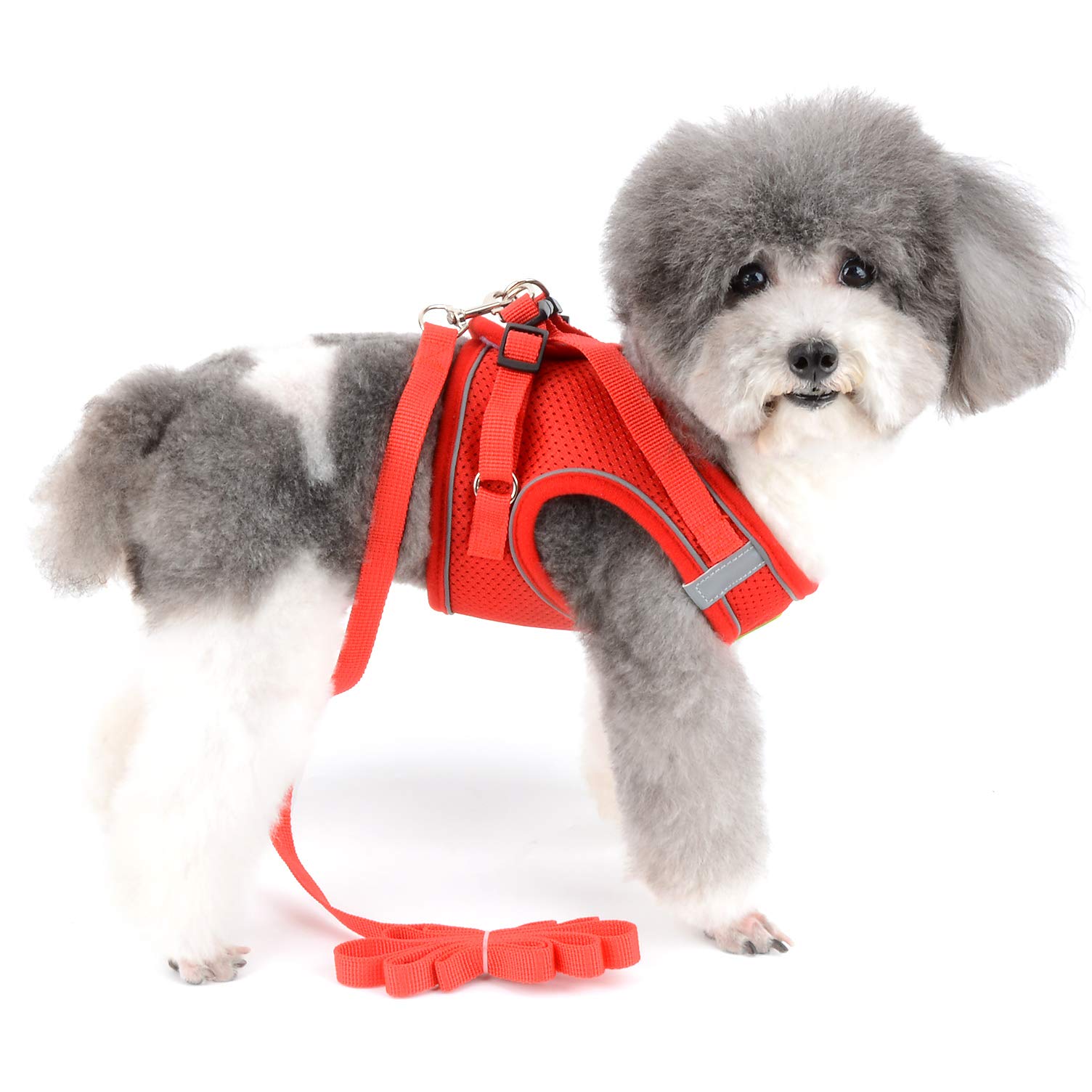 Ranphy Escape Proof Small Dog Harness and Lead Set Adjustable Puppy Cat Step in Mesh Vest No Pull 3M Reflective Solid Color Soft Breathable Pet Harnesses for Walking Outdoor Training Red S