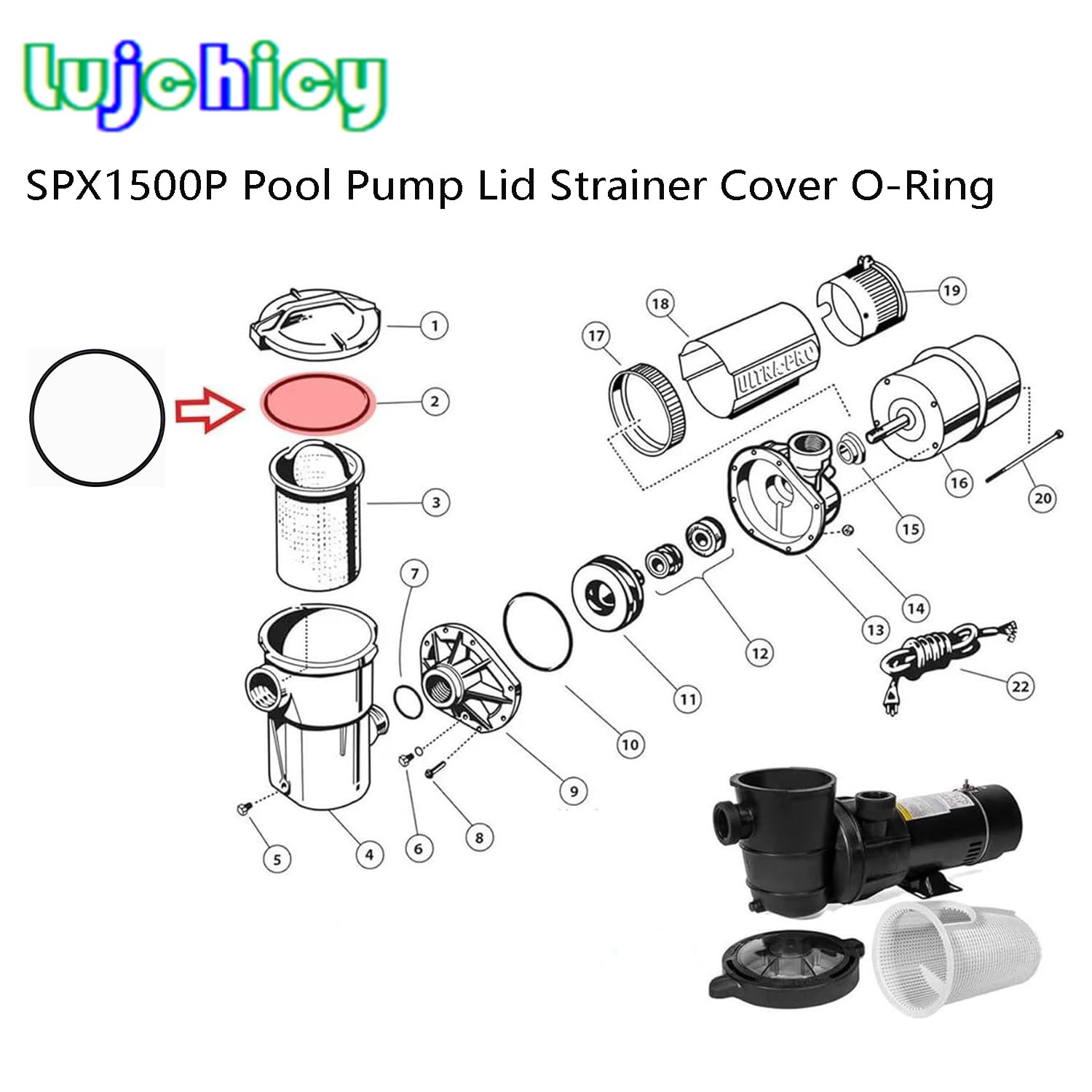 BadAss Pool Supply O-Ring Rebuild Kit For Hayward Super Pump - Complete Seal Set - View #4