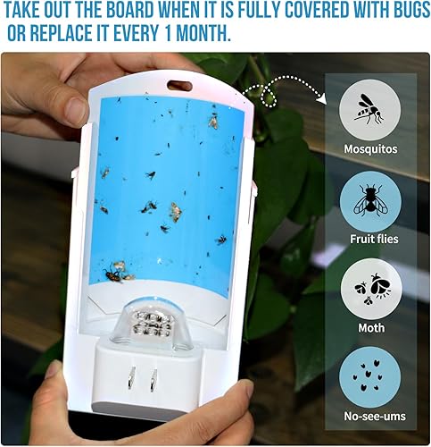 Miniatura 3 de Trampa para insectos voladores, trampa para moscas de interior para el hogar, matamosquitos para interiores con luz UV nocturna, exterminador de
