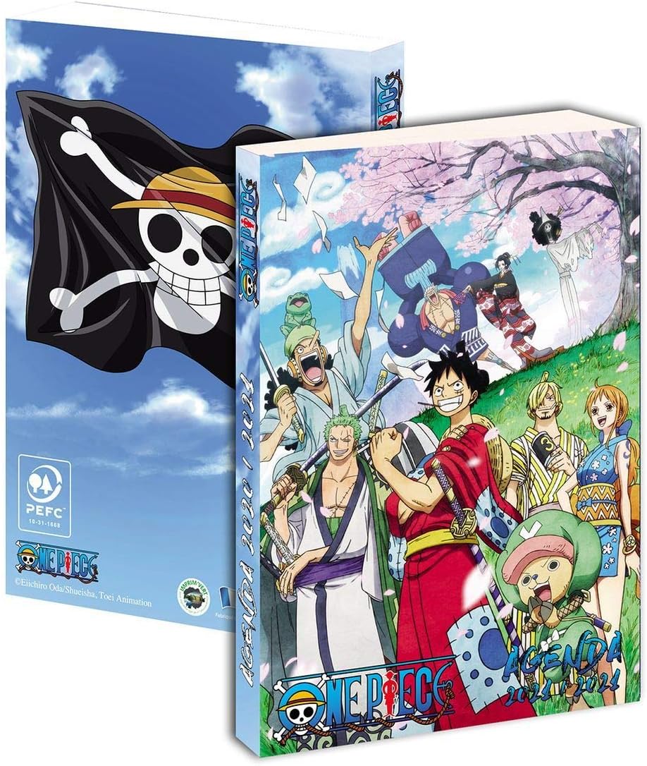 One Piece Daily Diary September To September 21 12 X 17 Cm Amazon Co Uk Stationery Office Supplies