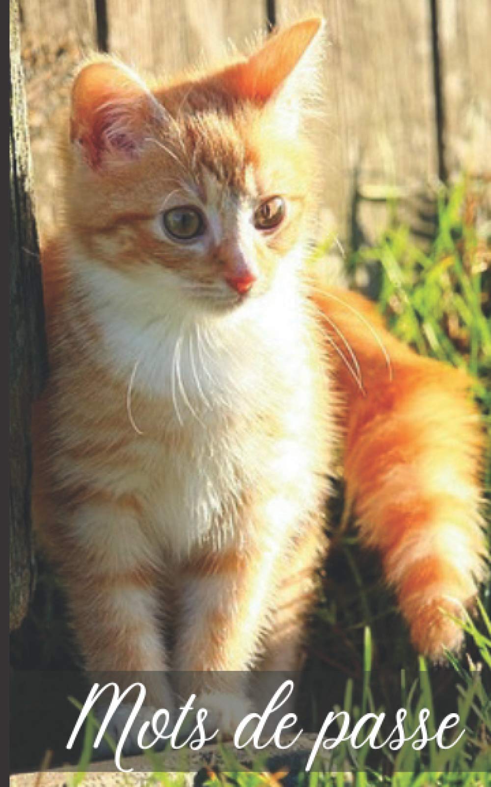 MOTS DE PASSE: Carnet de mots de passe Chaton roux pour Enregistrer vos Identifiants Internet par Ordre Alphabétique | Format 12,7 cm x 20,3 cm | Cadeau pour Amoureux des Chats et Félins.