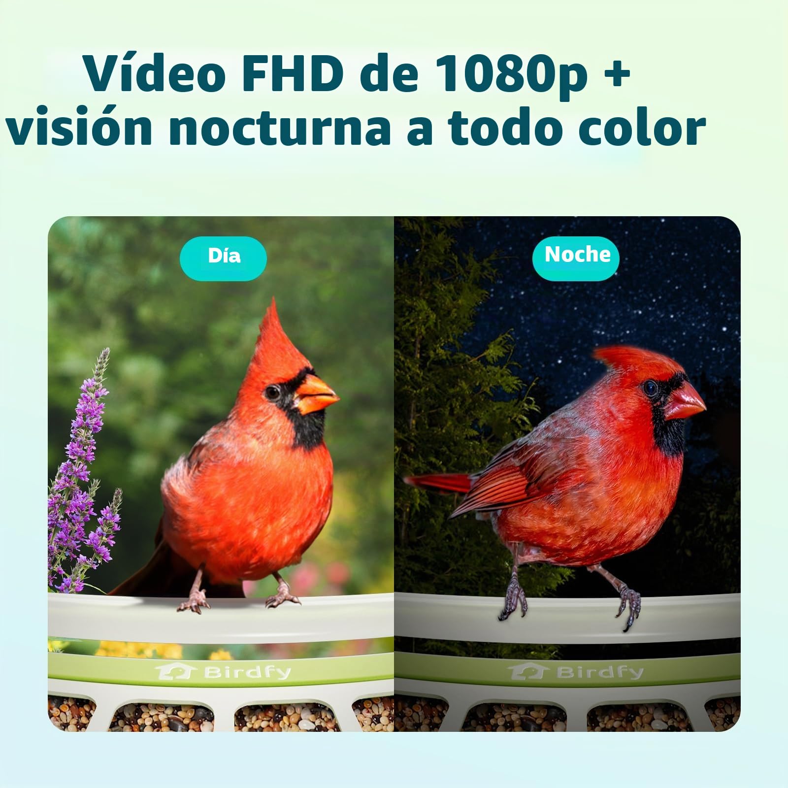 Birdfy Metal Comederos para Pajaros con Camara para Observación de Aves en Vivo, 1080P inalámbrico Bird Feeder con Visión Nocturna en Color, Notificaciones en Tiempo Real, Grabación Automática