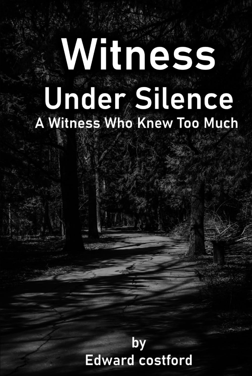 Witness Under Silence: A Witness Who Knew Too Much (Shadow Case Mysteries)