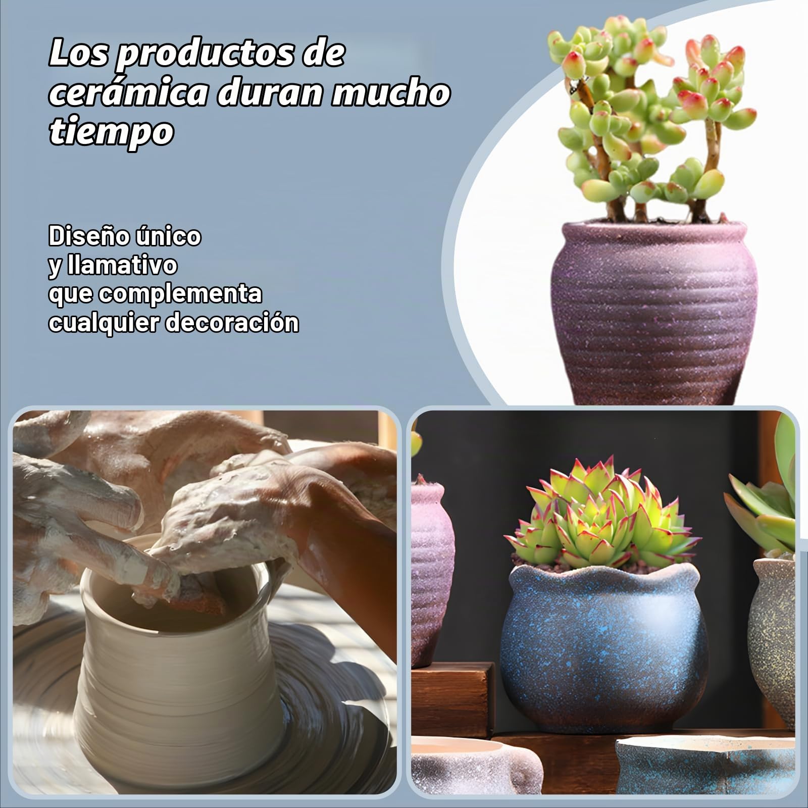 Maceta Suculenta,Macetas Decorativas de Cerámica,Maceta Cactus y Suculentas, con Agujero de Drenaje,para Plantas de Interior/Exterior, Flores, Cactus, Decoración del Hogar del Jardín