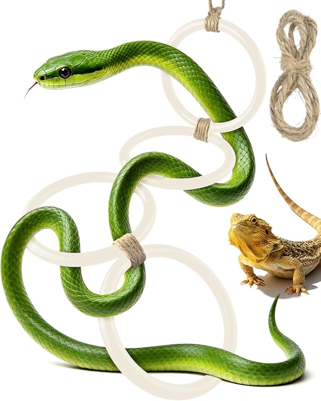 Anéis de Escalada Ajustáveis para Terrário DBNESS DBS0613, Decoração para Répteis e Aves, Branco